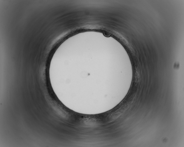 X0000101430535200808041153