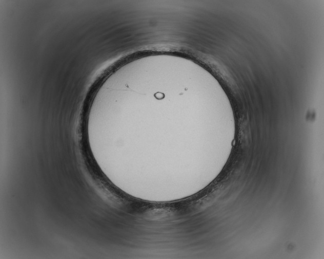 X0000101430536200808041153