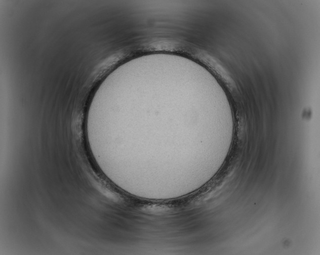 X0000101430537200808041153