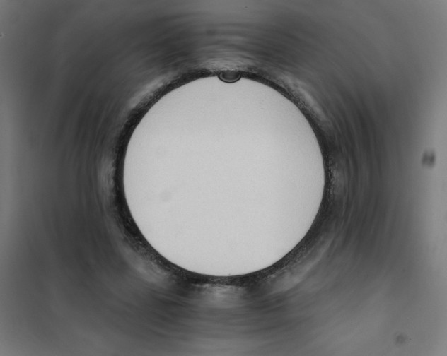 X0000101430539200808041153