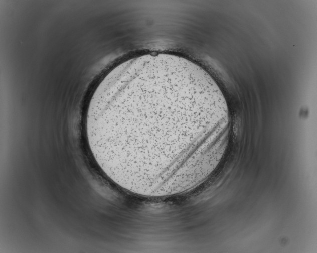 X0000101430540200808041153