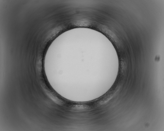 X0000101430541200808041153