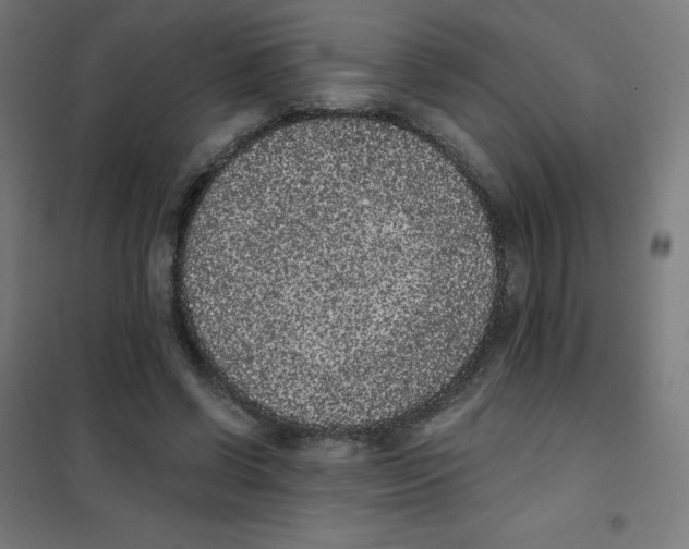 X0000101430542200808041153