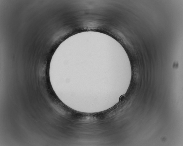 X0000101430543200808041153