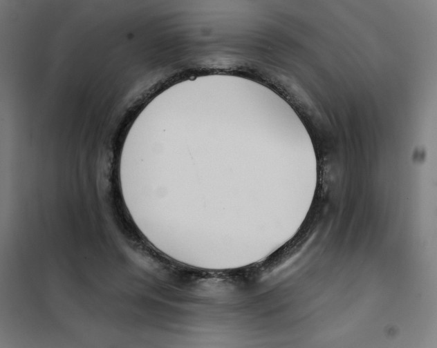 X0000101430544200808041153