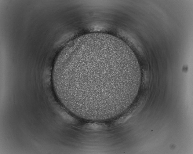 X0000101430545200808041153