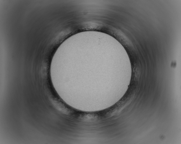 X0000101430546200808041153