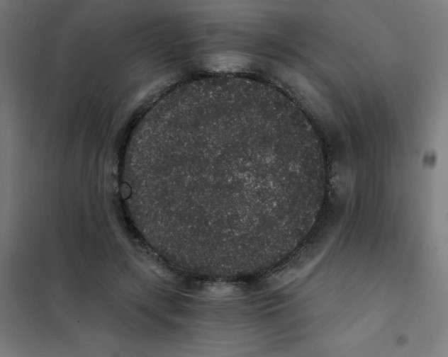 X0000101430547200808041153