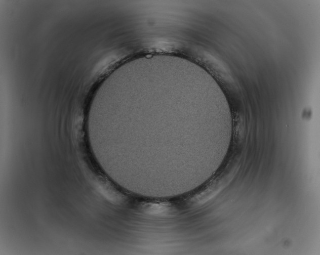 X0000101430548200808041153