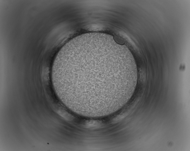 X0000101430549200808041154