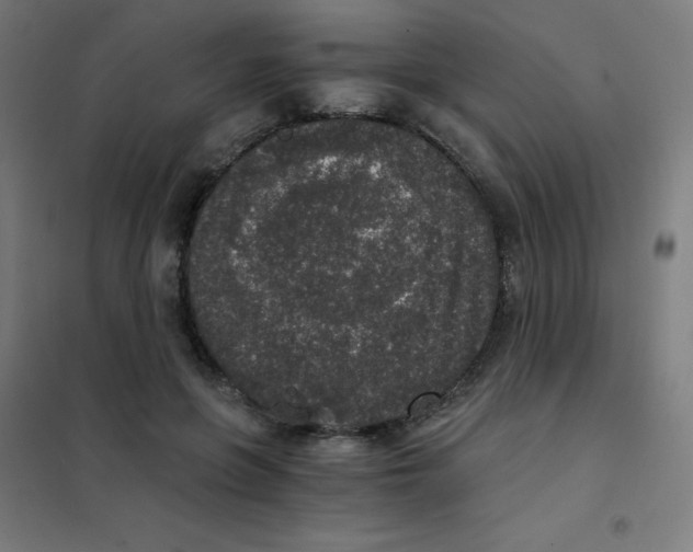 X0000101430551200808041154