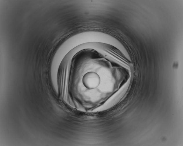 X0000101430552200808041154