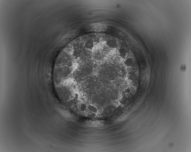 X0000101430553200808041154