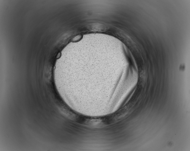 X0000101430554200808041154