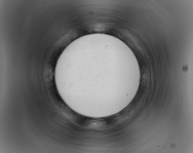 X0000101430555200808041154