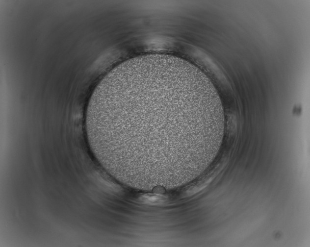 X0000101430557200808041154