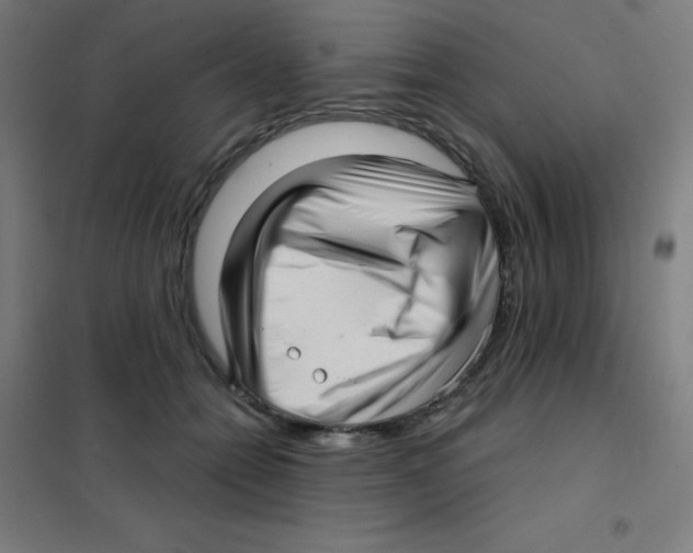 X0000101430558200808041154