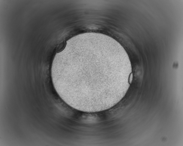 X0000101430559200808041154