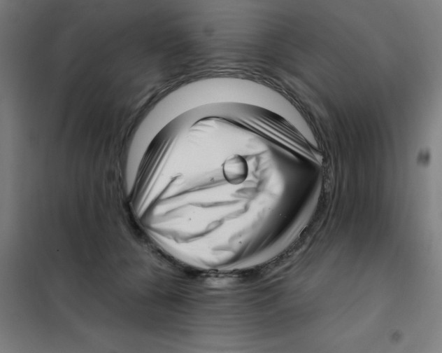 X0000101430560200808041154