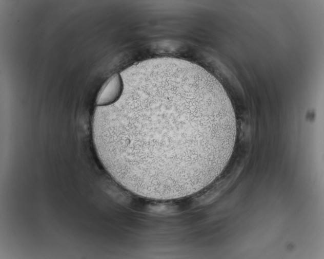 X0000101430561200808041154