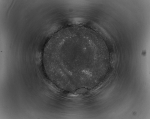 X0000101430563200808041154