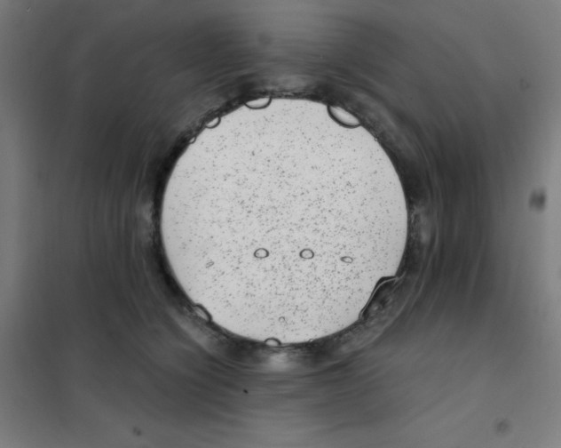 X0000101430564200808041154