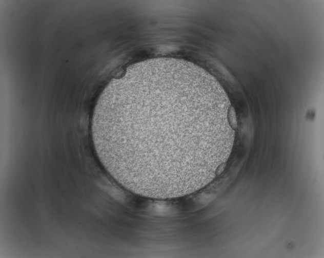 X0000101430565200808041154