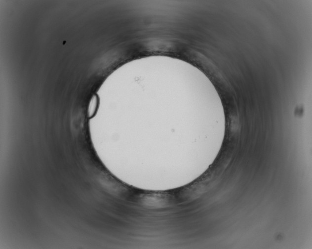 X0000101430567200808041154