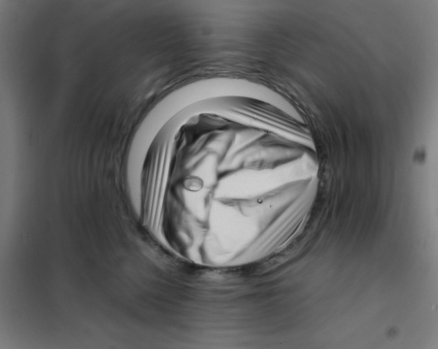 X0000101430568200808041154