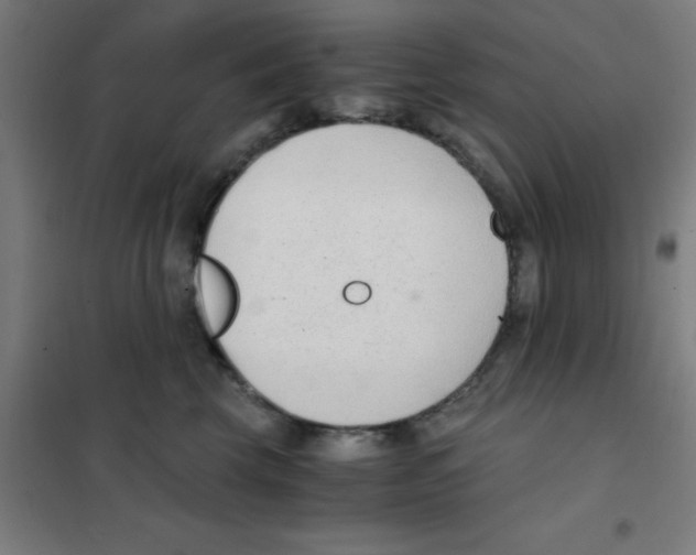 X0000101430569200808041154