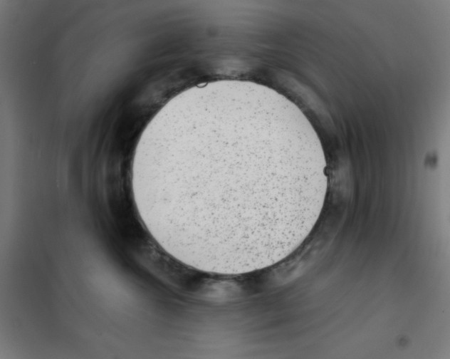 X0000101430572200808041154