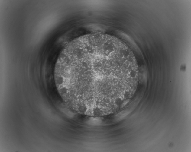 X0000101430573200808041154