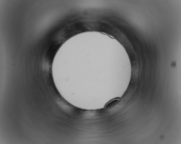 X0000101430574200808041154