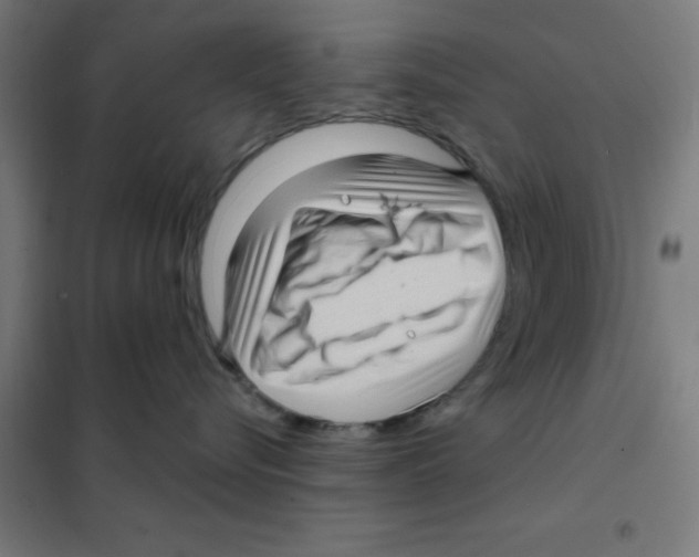 X0000101430576200808041154