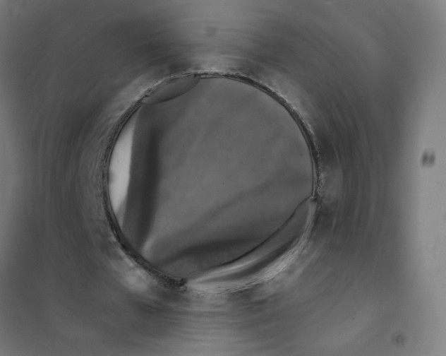 X0000101430577200808041153