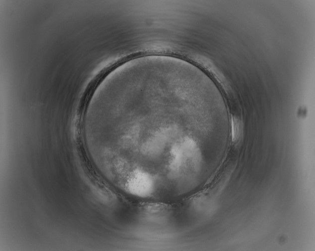 X0000101430579200808041153