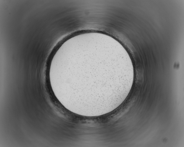 X0000101430580200808041153