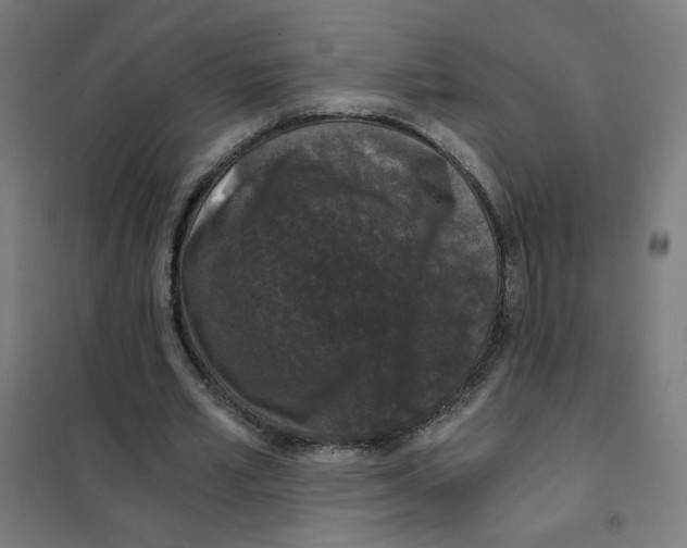 X0000101430581200808041153