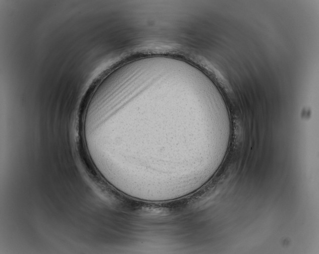 X0000101430582200808041153