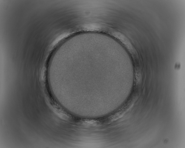 X0000101430583200808041153