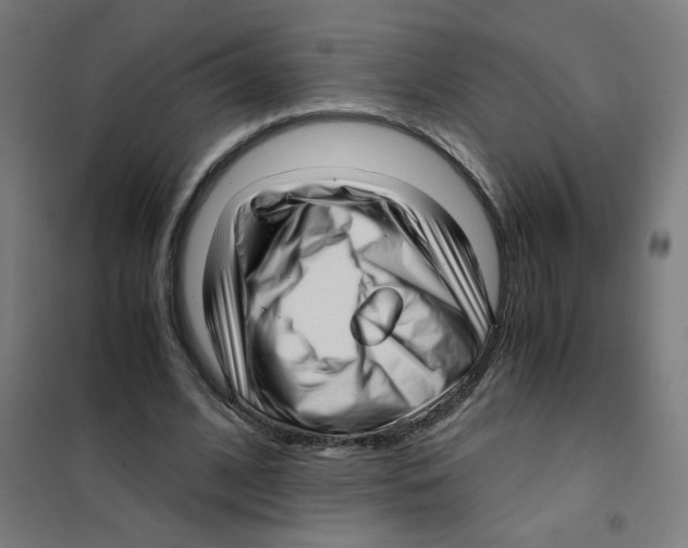 X0000101430584200808041153