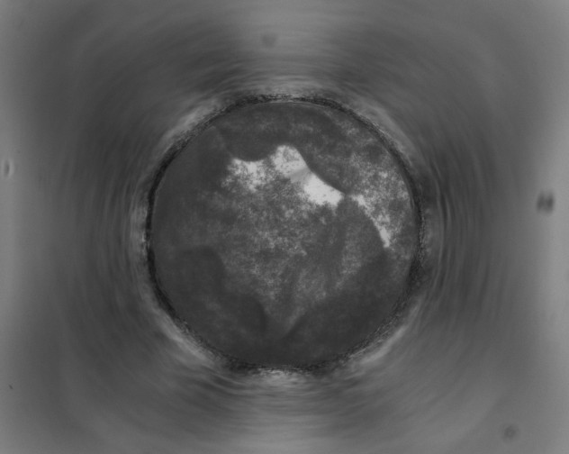 X0000101430585200808041153