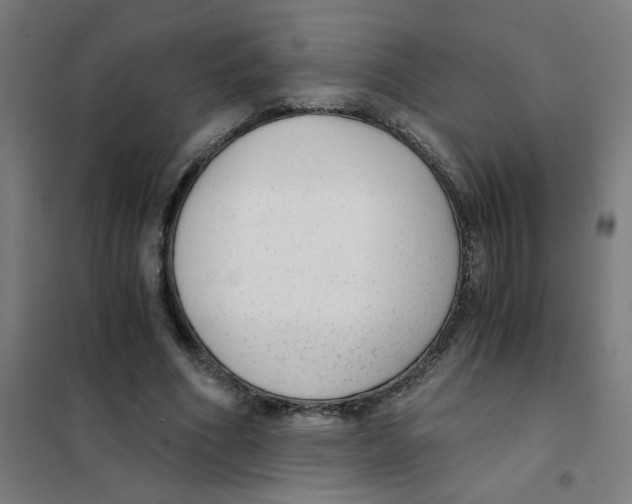 X0000101430586200808041153