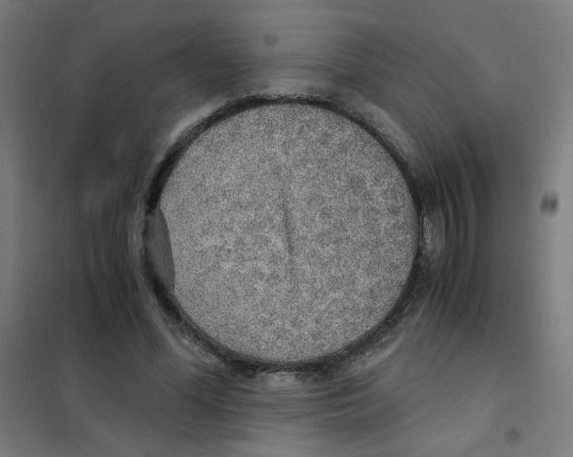 X0000101430588200808041153