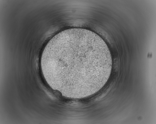 X0000101430589200808041153