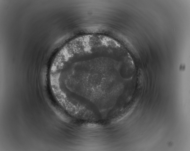 X0000101430590200808041153