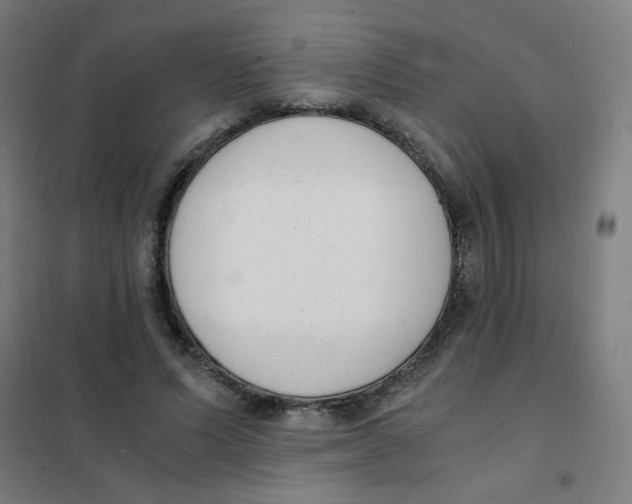 X0000101430591200808041153