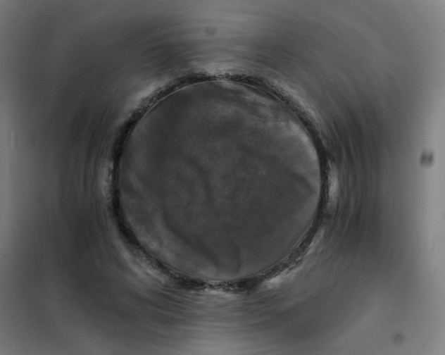 X0000101430592200808041153