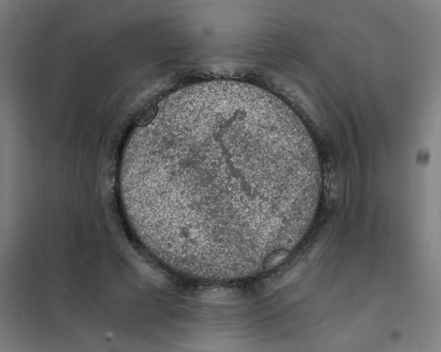 X0000101430593200808041153