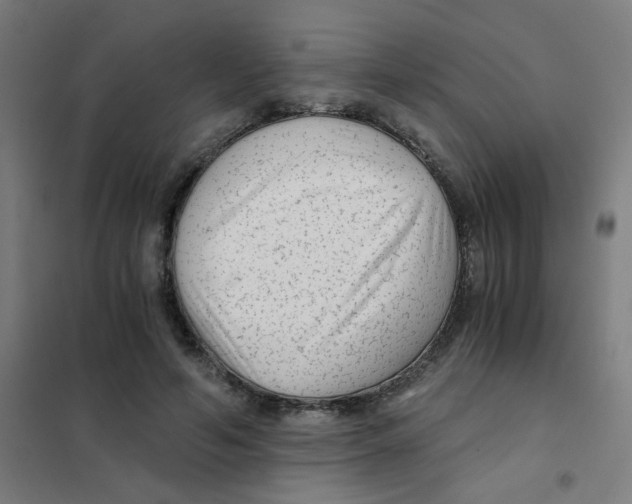 X0000101430594200808041153